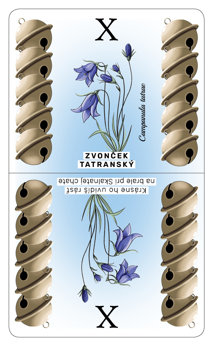 Zvonček tatranský