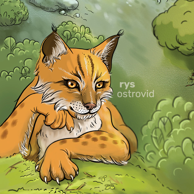 TATRANSKÉ PEXESO