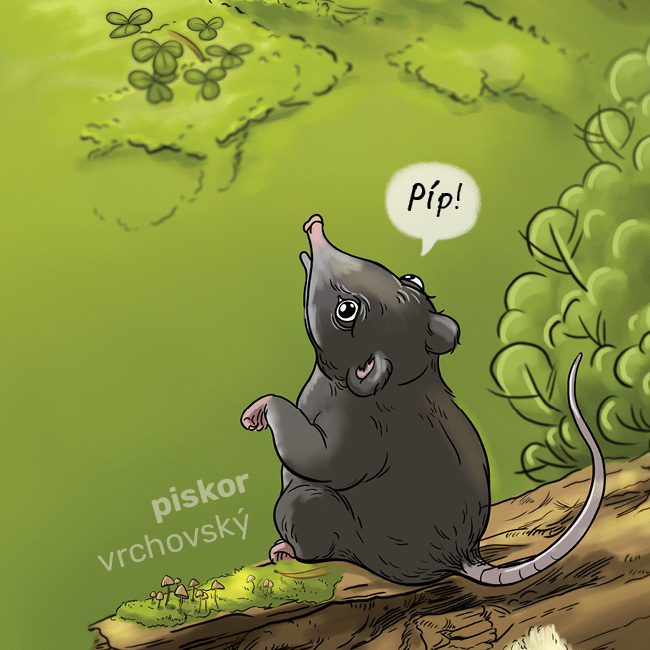 TATRANSKÉ PEXESO