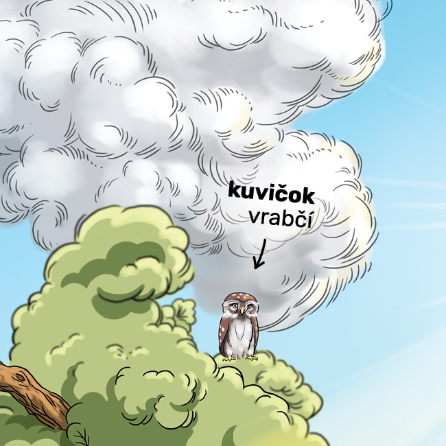 TATRANSKÉ PEXESO