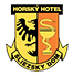 Sliezsky dom